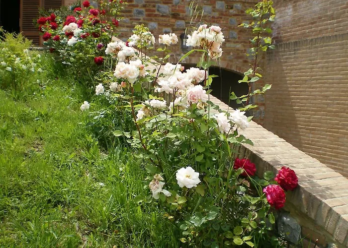 Fullino Nero Rta - Residenza Turistico Alberghiera Kır Evi Siena