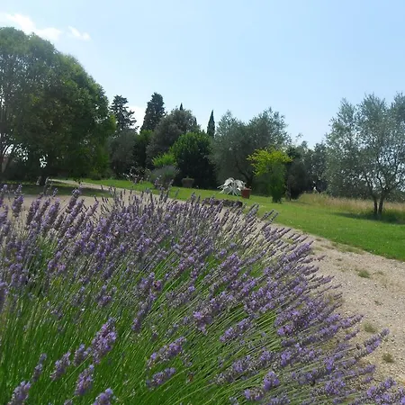 Fullino Nero Rta - Residenza Turistico Alberghiera *