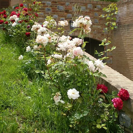 Fullino Nero Rta - Residenza Turistico Alberghiera Летний дом Сиена