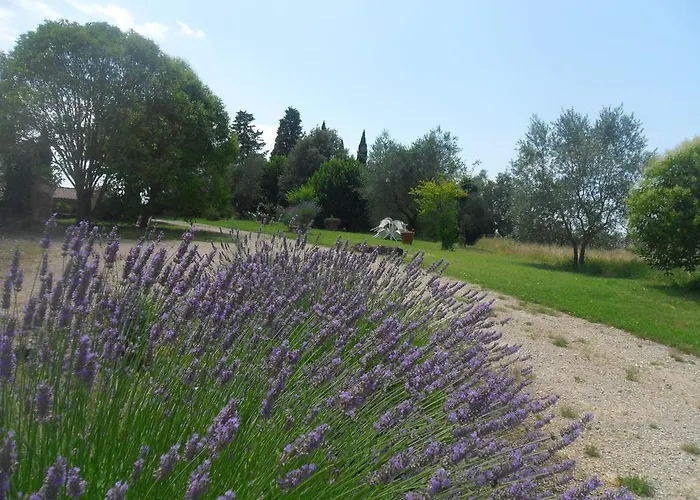 Fullino Nero Rta - Residenza Turistico Alberghiera *