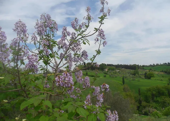 カントリーハウス Fullino Nero Rta - Residenza Turistico Alberghiera *